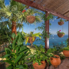Отель Villa Petradi, фото 29