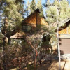 Отель Bear Snugglin by Big Bear Cool Cabins, фото 10