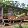 Отель Amazon Canopy Expeditions Ecolodge, фото 20