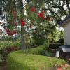 Отель Elegant Holiday Home in Milo with Terrace, фото 16