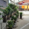 Отель Zhulou Hostel, фото 7