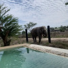Отель Elephant View Camp, фото 11