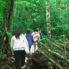 Отель Taman Simalem Resort, фото 22