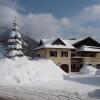 Отель Appartements Ferienwohnungen Alpenblick, фото 1