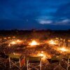 Отель NThambo Tree Camp, фото 18