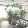 Отель Thanh Loan Hotel, фото 1