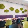 Отель ibis Styles Montbeliard Centre Velotte, фото 18