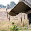 Отель Serengeti Savannah Camps, фото 26