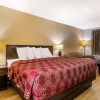 Отель Econo Lodge, фото 1