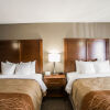 Отель Comfort Inn & Suites St. Louis - Hazelwood, фото 6