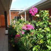 Отель Hostal Miraflores, фото 34