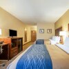 Отель Comfort Suites Knoxville West - Farragut, фото 11