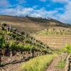 Отель Dois Lagares House, фото 18