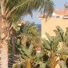 Отель Island Villas Cyprus 012 в Протарасе
