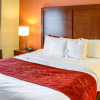 Отель Comfort Suites Omaha, фото 6