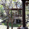 Отель Padi Bali Guest House, фото 15