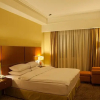 Отель Tehran Grand Hotel 2, фото 4