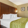 Отель Comfort Inn MSP Airport - Mall of America, фото 5