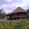 Отель Sirville Lake Elementaita Lodge, фото 33