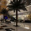 Отель Radisson Blu Hotel and Convention Centre, Riyadh Minhal, фото 28