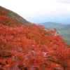 Отель Gassan No Yado Kashiwaya, фото 9