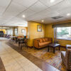 Отель Comfort Suites Forsyth near I-75 в Форсайте