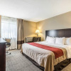 Отель Hampton Inn Lansing, фото 3