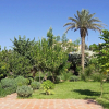 Отель Riad Oued Ramis, фото 15