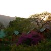 Отель Mantenga Lodge, фото 38