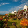 Отель Wind-Rose Guest House, фото 43