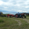 Отель Seaweed and Sod Farm Bed & Breakfast, фото 23