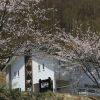 Отель Guesthouse Hilltop, фото 14