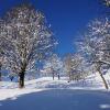 Отель Gasthof Seeblick, фото 41