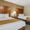 Отель Comfort Inn South, фото 5
