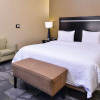 Отель Hampton Inn & Suites Big Spring, фото 43