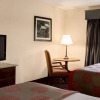 Отель Ramada by Wyndham Pigeon Forge North, фото 4