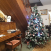 Отель Selkie House, фото 1