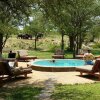 Отель Shindzela Tented Safari Camp, фото 5