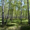 Гостиница Tsentr Aktivnogo Otdykha 