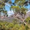 Отель Freycinet Haven, фото 20