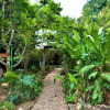 Отель Jungle Like Oasis in San Ignacio - Secluded Cabaña Retreat Close To Mayan Ruins, фото 23