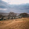 Отель Rongai Eleven Serengeti Camp, фото 13