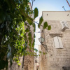 Отель Apartment heart of Trogir, фото 1