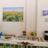 Отель B&B Mascagni, фото 12