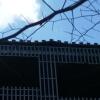 Отель Geresnationalpark-cabin-6bed-balcony-pool-views, фото 6