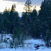 Отель Mountain Pine Cabin - Sleeps 6 - Pet Friendly, фото 14
