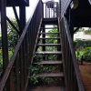 Отель Travel Lodge Sabie, фото 22