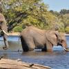 Отель Thebe River Safaris, фото 22