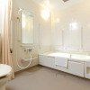 Отель Flexstay Inn Shin-Urayasu, фото 11