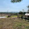 Отель Elephant View Camp, фото 13